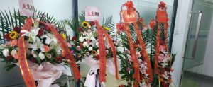 热烈祝贺领值合作伙伴——楷维工业服务（上海）有限公司盛大开业！