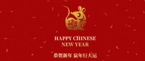 福鼠贺岁 鼠你好看