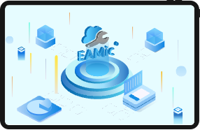 江苏某公司EAMic®系统总结报告-1